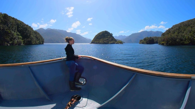 Guardians of Tamatea